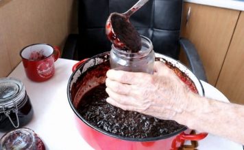 Prirodni voćni namaz koji može podržati zdravu probavu