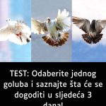 TEST: Odaberite jednog goluba isaznajte šta će se dogoditi u sljedeća 3 dana!