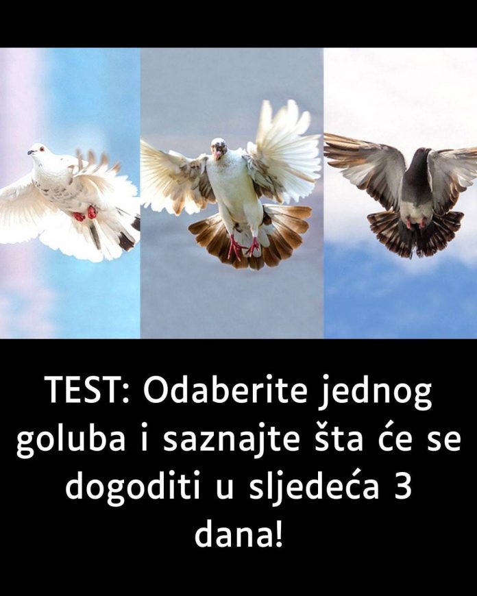 643941870_1375021774670964_7481310575684080986_n