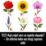 TEST: Koji cvijet vam se najviše dopada? – On otkriva kako vas drugi zapravo vide!
