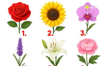 TEST: Koji cvijet vam se najviše dopada? – On otkriva kako vas drugi zapravo vide!