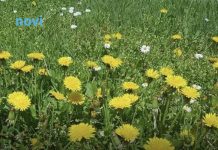 Ova 3 znaka će biti najsretnija u martu 2026: Očekuje ih preokret kojem se nisu nadali