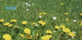 Ova 3 znaka će biti najsretnija u martu 2026: Očekuje ih preokret kojem se nisu nadali