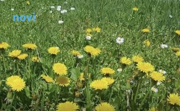 Ova 3 znaka će biti najsretnija u martu 2026: Očekuje ih preokret kojem se nisu nadali