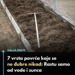 7 vrsta povrća koje gotovo nikada ne treba đubriti: Rastu uz vodu, sunce i malo brige 🌱