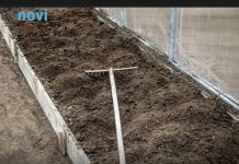 7 vrsta povrća koje gotovo nikada ne treba đubriti: Rastu uz vodu, sunce i malo brige 🌱