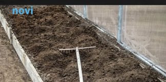 7 vrsta povrća koje gotovo nikada ne treba đubriti: Rastu uz vodu, sunce i malo brige 🌱