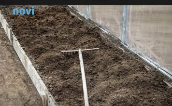 7 vrsta povrća koje gotovo nikada ne treba đubriti: Rastu uz vodu, sunce i malo brige 🌱