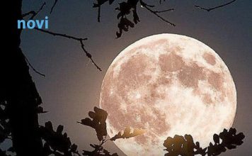 4 znaka kojima se život iz korijena mijenja 25. marta: Stiže sreća kakvu ne pamte