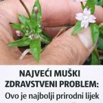 NAJVEĆI MUŠKI ZDRAVSTVENI PROBLEM: Ovo je najbolji prirodni lijek za prostatu na svijetu…