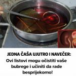 JEDNA ČAŠA UJUTRO I NAVEČER: Ovi listovi mogu očistiti vaše bubrege i učiniti da rade besprijekorno!