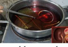 JEDNA ČAŠA UJUTRO I NAVEČER: Ovi listovi mogu očistiti vaše bubrege i učiniti da rade besprijekorno!