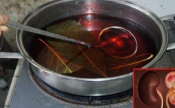 JEDNA ČAŠA UJUTRO I NAVEČER: Ovi listovi mogu očistiti vaše bubrege i učiniti da rade besprijekorno!