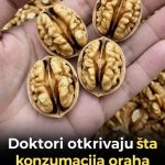 Ljekari otkrivaju: Šta jedenje oraha može učiniti za vaše zdravlje