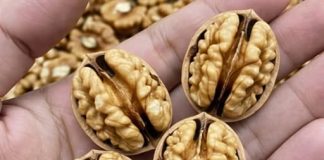 Ljekari otkrivaju: Šta jedenje oraha može učiniti za vaše zdravlje