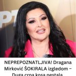 NEPREP0ZNATLJIVA! Dragana Mirković Š0KlRALA izgledom: EV0 što je učinila!