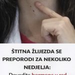 ŠTITNA ŽLIJEZDA SE PREPORODI ZA NEKOLIKO NEDJELJA: Dovedite hormone u red prirodnim sredstvima