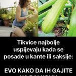 Tikvice najbolje uspijevaju kada se posade u kante ili saksije: Evo kako da ih gajite na balkonu