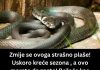ZMIJE SE SAMO OVOGA KRVNIČKI PLAŠE! Čim to OSETE BEŽE KAO LUDE! Nikada se NEĆE VRATITI, Srbi, SAMO U TOME JE SPAS!