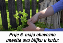 AKO OVO NISTE URADILI PRIJE 6. MAJA, KAŽU DA GUBITE SREĆU: Obavezno unesite biljku u dom