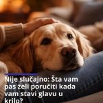 Nije slučajno: Šta vam pas želi poručiti kada vam stavi glavu u krilo?