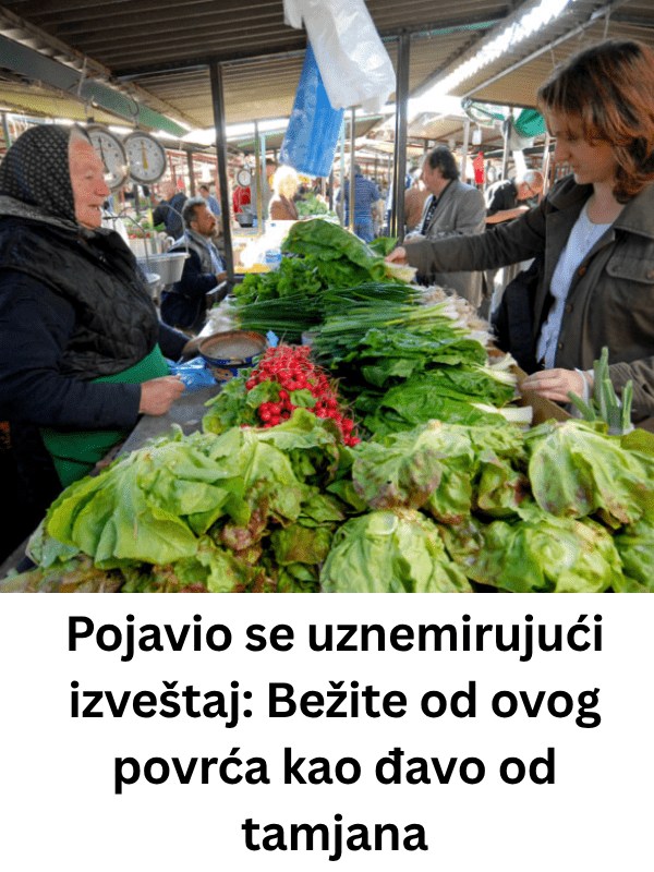 663269541_966641129206191_7089828199367598250_n