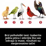 Brzi psihološki test: Izaberite jednu pticu i otkrijte šta vas izdvaja iz mase, rezultati su nevjerovatno tačni