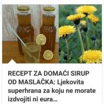 RECEPT ZA DOMAĆI SIRUP OD MASLAČKA: Ljekovita superhrana za koju ne morate izdvojiti ni eura…