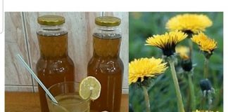 RECEPT ZA DOMAĆI SIRUP OD MASLAČKA: Ljekovita superhrana za koju ne morate izdvojiti ni eura…