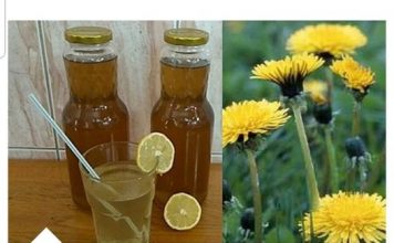 RECEPT ZA DOMAĆI SIRUP OD MASLAČKA: Ljekovita superhrana za koju ne morate izdvojiti ni eura…