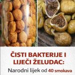 ČISTI BAKTERIJE I LIJEČI ŽELUDAC: Narodni lijek od 40 smokava za 40 dana