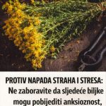 PROTIV NAPADA STRAHA I STRESA: Ne zaboravite da sljedeće biljke mogu pobijediti anksioznost, strah i stres…