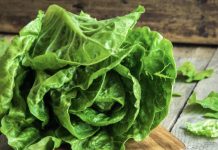 EVO KAKO DA VAM ZELENA SALATA OSTANE SVEŽA I DO MESEC DANA: Samo ispoštuje ovo jednostavno pravilo!