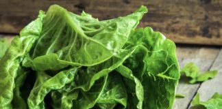 EVO KAKO DA VAM ZELENA SALATA OSTANE SVEŽA I DO MESEC DANA: Samo ispoštuje ovo jednostavno pravilo!