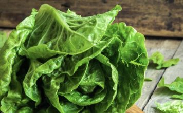 EVO KAKO DA VAM ZELENA SALATA OSTANE SVEŽA I DO MESEC DANA: Samo ispoštuje ovo jednostavno pravilo!