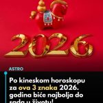 Po kineskom horoskopu za ova 3 znaka 2026. godina biće najbolja do sada u životu