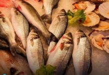 Ovo je najgora vrsta ribe po zdravlje: Svi je kupuju