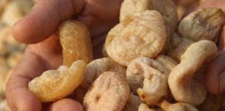 Ako imate povišene masnoće u krvi: narodni recept sa suhim smokvama i jabukovim sirćetom