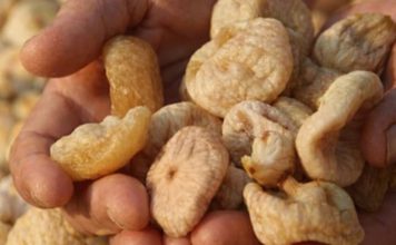 Ako imate povišene masnoće u krvi: narodni recept sa suhim smokvama i jabukovim sirćetom