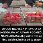OVO JE NAJVEĆA PREVARA SA JAGODAMA KOJU VAM PODMEĆU NA PIJACAMA: Ako vidite ovo na dnu gajbice, bežite od te tezge