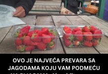 OVO JE NAJVEĆA PREVARA SA JAGODAMA KOJU VAM PODMEĆU NA PIJACAMA: Ako vidite ovo na dnu gajbice, bežite od te tezge