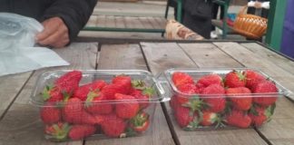 OVO JE NAJVEĆA PREVARA SA JAGODAMA KOJU VAM PODMEĆU NA PIJACAMA: Ako vidite ovo na dnu gajbice, bežite od te tezge