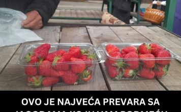 OVO JE NAJVEĆA PREVARA SA JAGODAMA KOJU VAM PODMEĆU NA PIJACAMA: Ako vidite ovo na dnu gajbice, bežite od te tezge