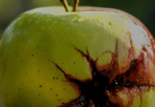 Kako prepoznati “pokvarenu” osobu: 10 znakova koje ne možete ignorirati