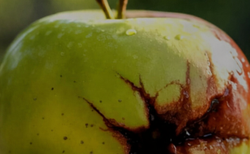 Kako prepoznati “pokvarenu” osobu: 10 znakova koje ne možete ignorirati