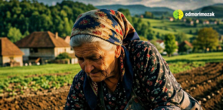 Ne sadite krompir dok ovo ne uradite!