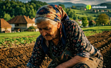 Ne sadite krompir dok ovo ne uradite!