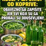 RECEPT ZA LJEKOVITI SIRUP OD KOPRIVE