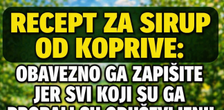 RECEPT ZA LJEKOVITI SIRUP OD KOPRIVE