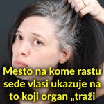 Mesto na kome rastu sede vlasi ukazuje na to koji organ „traži pomoć“